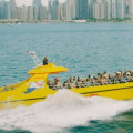 Which boat tour is best in chicago?