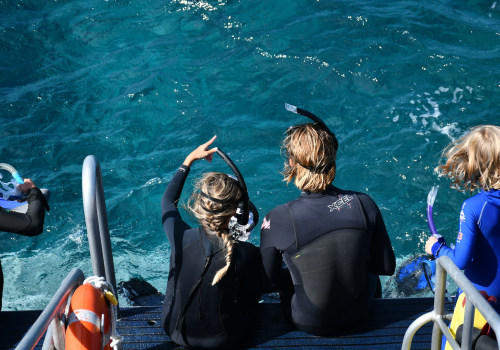Make A Splash In Maui: The Perfect Boat Tour Experience With Convenient Snorkel Gear Rental