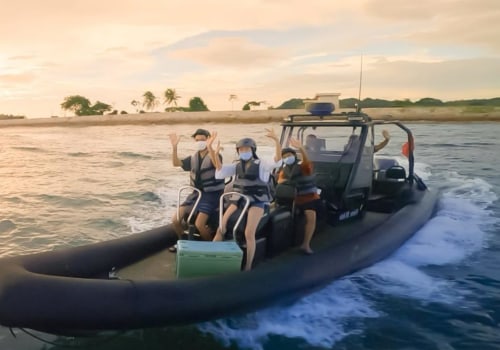 Are boat tours?